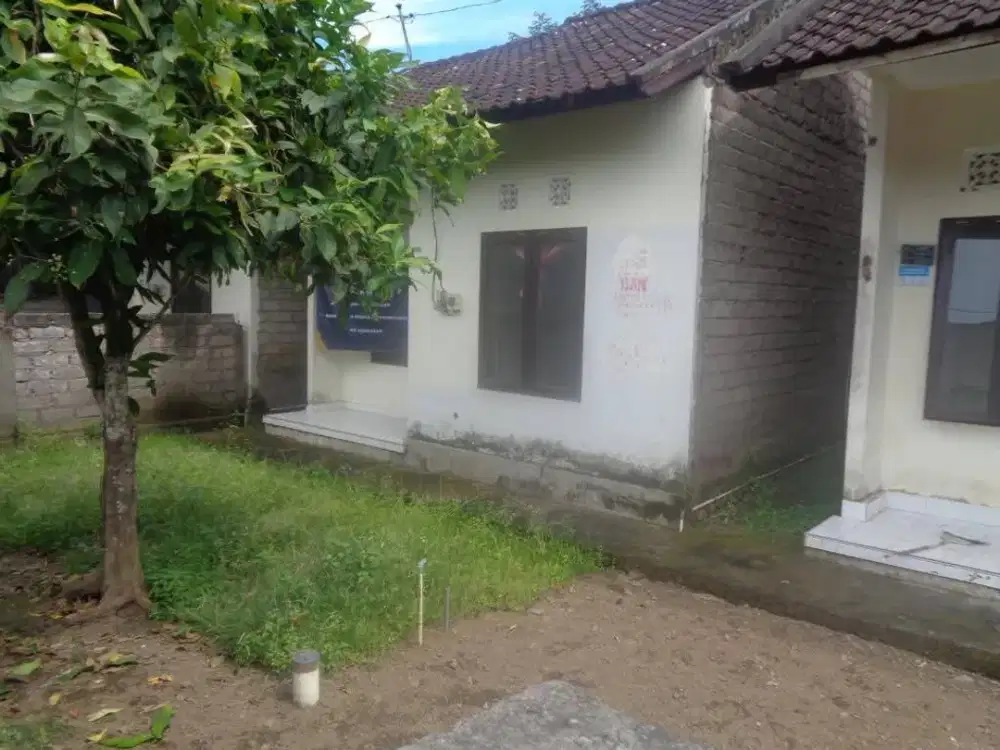 Rumah Seharga Rp 126jt di Jembrana - Bali