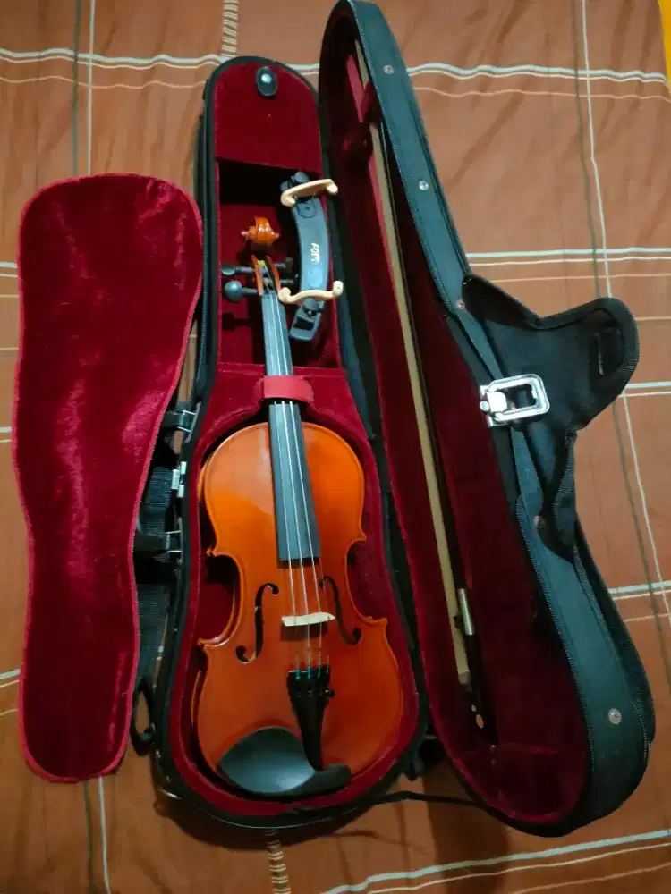 Biola violin Samuel Eastman VL-80 Size 3/4 ori mulus