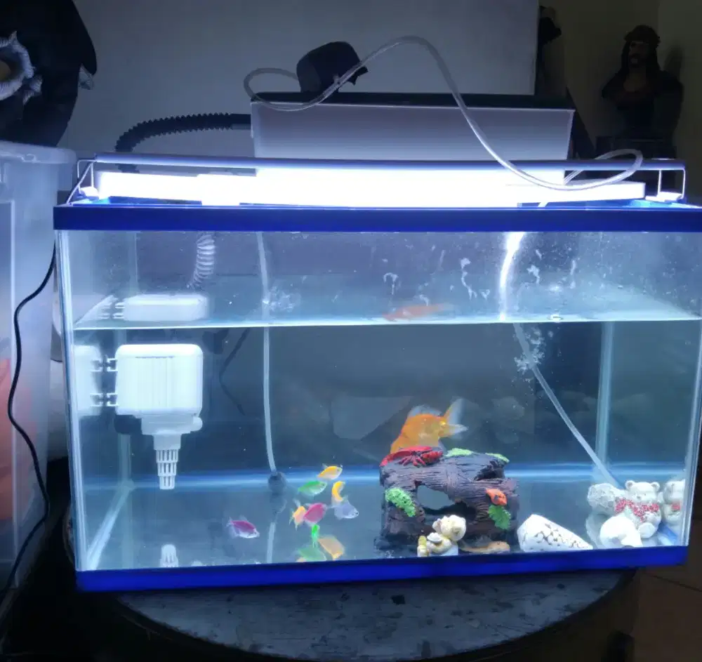 Set Aquarium GEX - 60cm × 30cm × 35cm (asahi glass)
