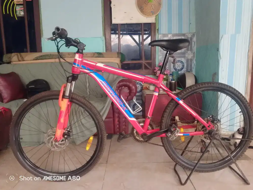 MTB GENIO FORVOO - X R 26
