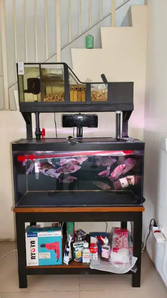 Jual aquarium 80*40*40 fulset