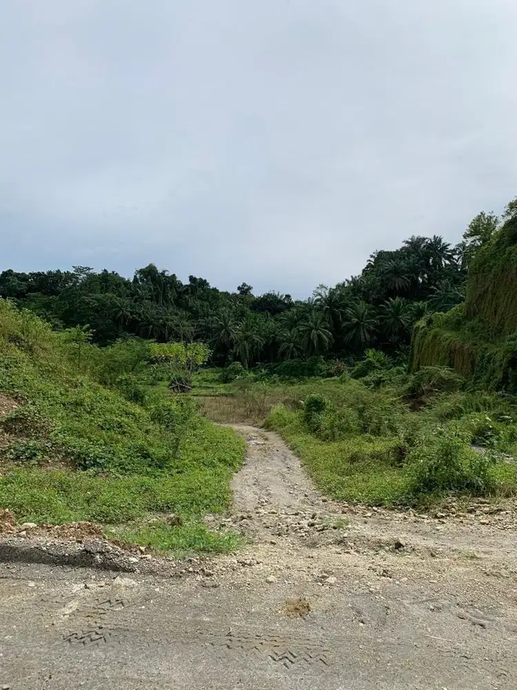 Dijual cepat tanah cocok untuk pariwisata/kebon sawit/galian c