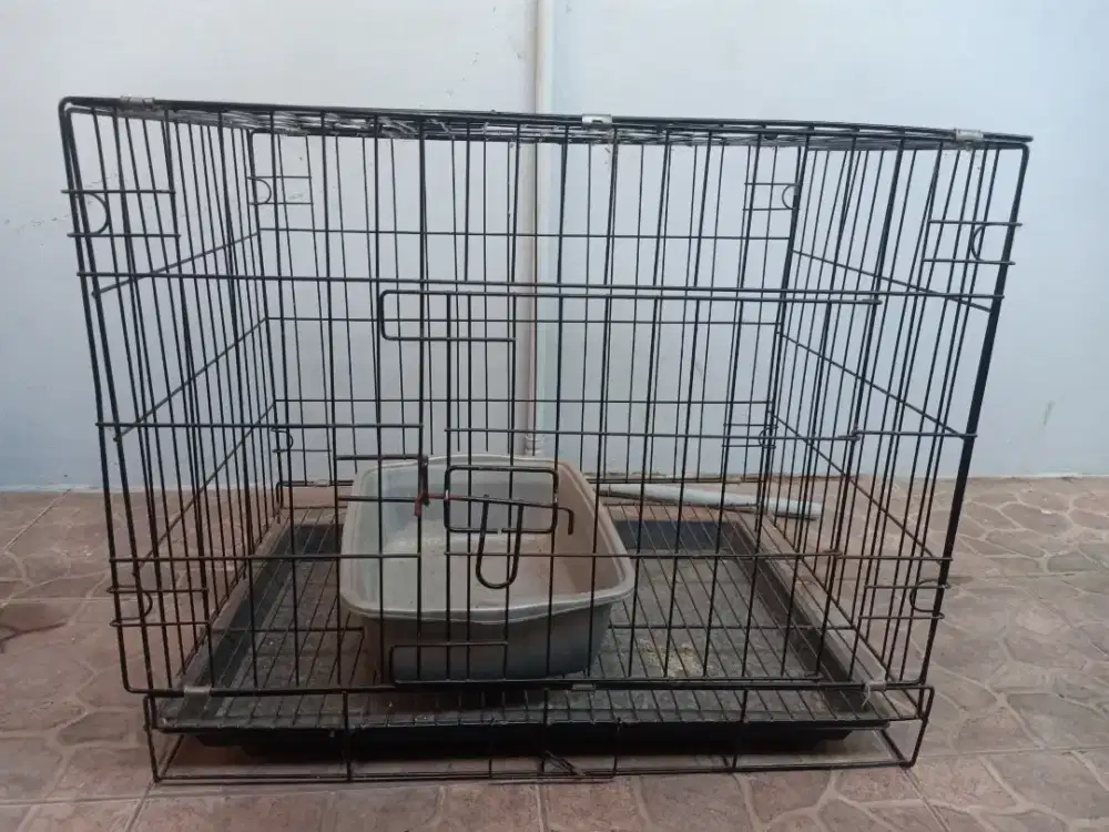 Jual kandang kucing gratis kucing
