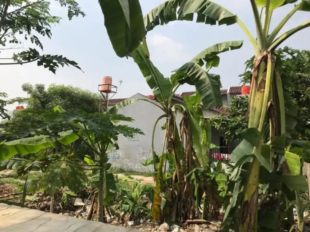 Dijual Kavling (Bonus Rumah) Rempoa Pesanggrahan, Jakarta Selatan