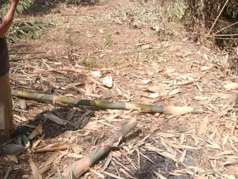 Dijual tanah tegalan NGENEP KARANGPLOSO
