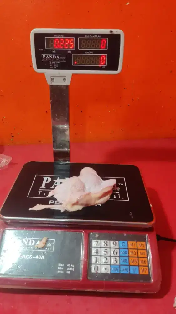 RPA AYAM FILLET BEKASI