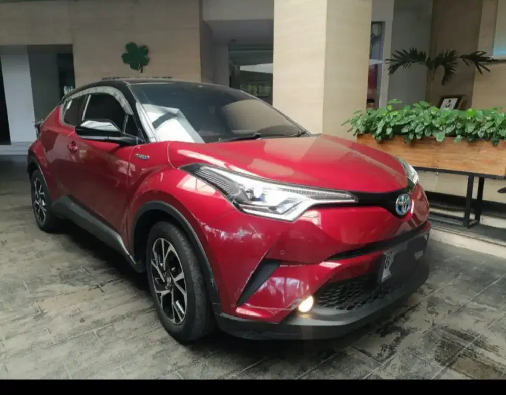 Toyota chr 2019 mulus