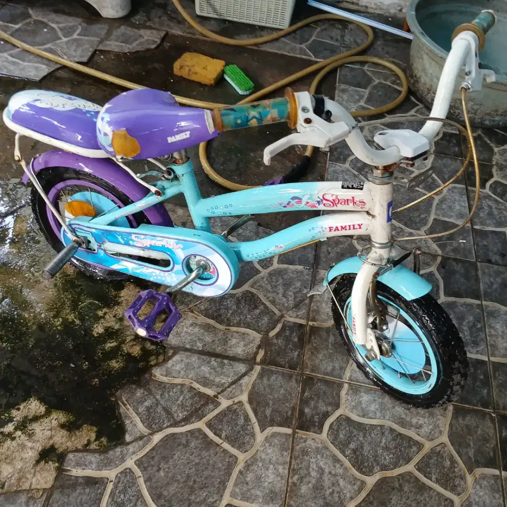 Sepeda anak merk family