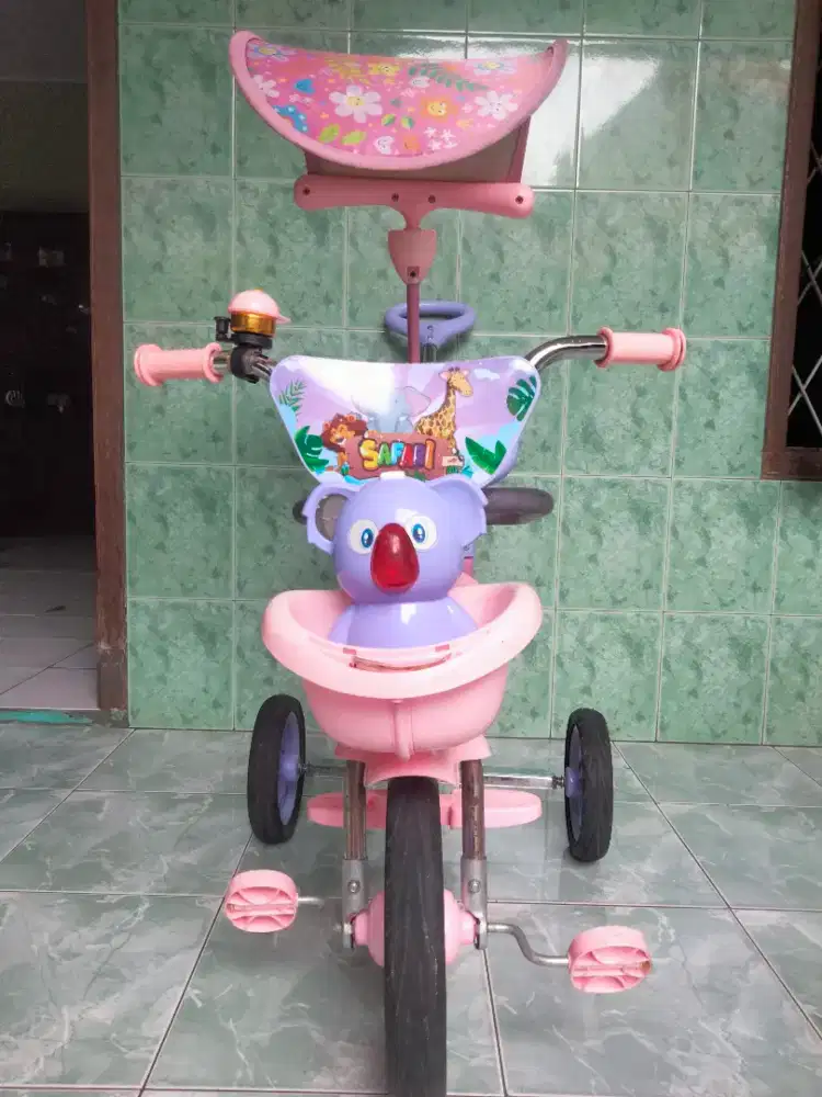Sepeda anak family