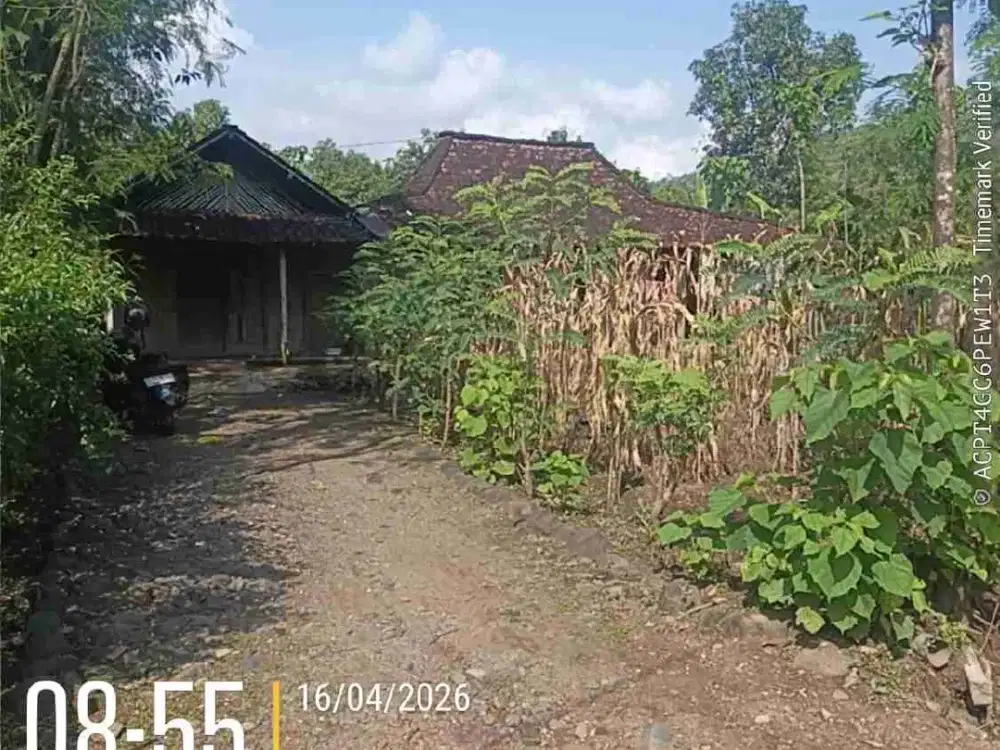 DI JUAL RUMAH 

KEL. : KARANGAN
KEC. : BADENGAN
KAB  : PONOROGO