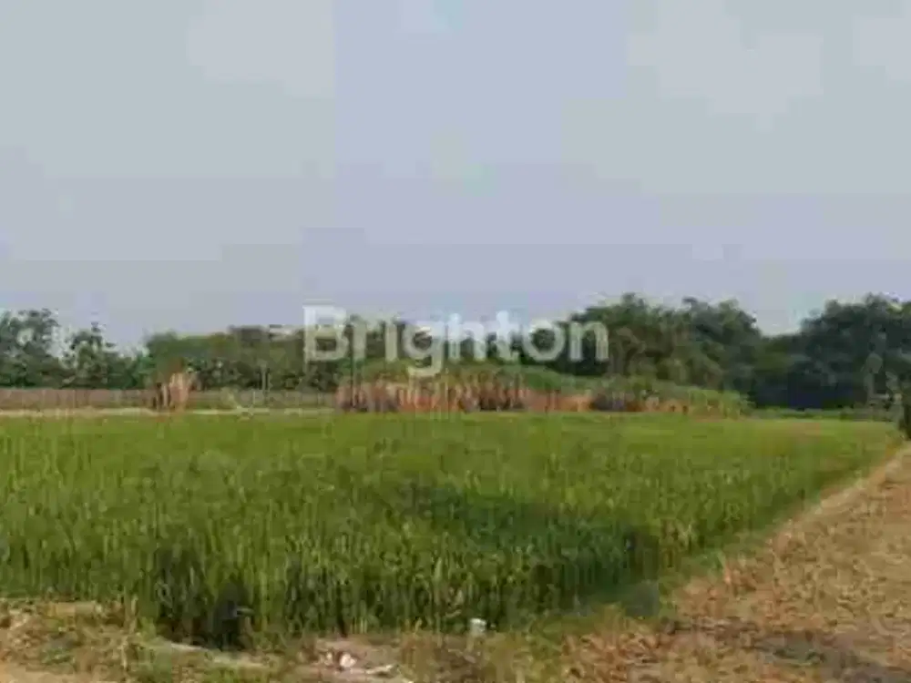 TANAH LUAS BANYAKAN 3378M² SHM COCOK INVESTASI