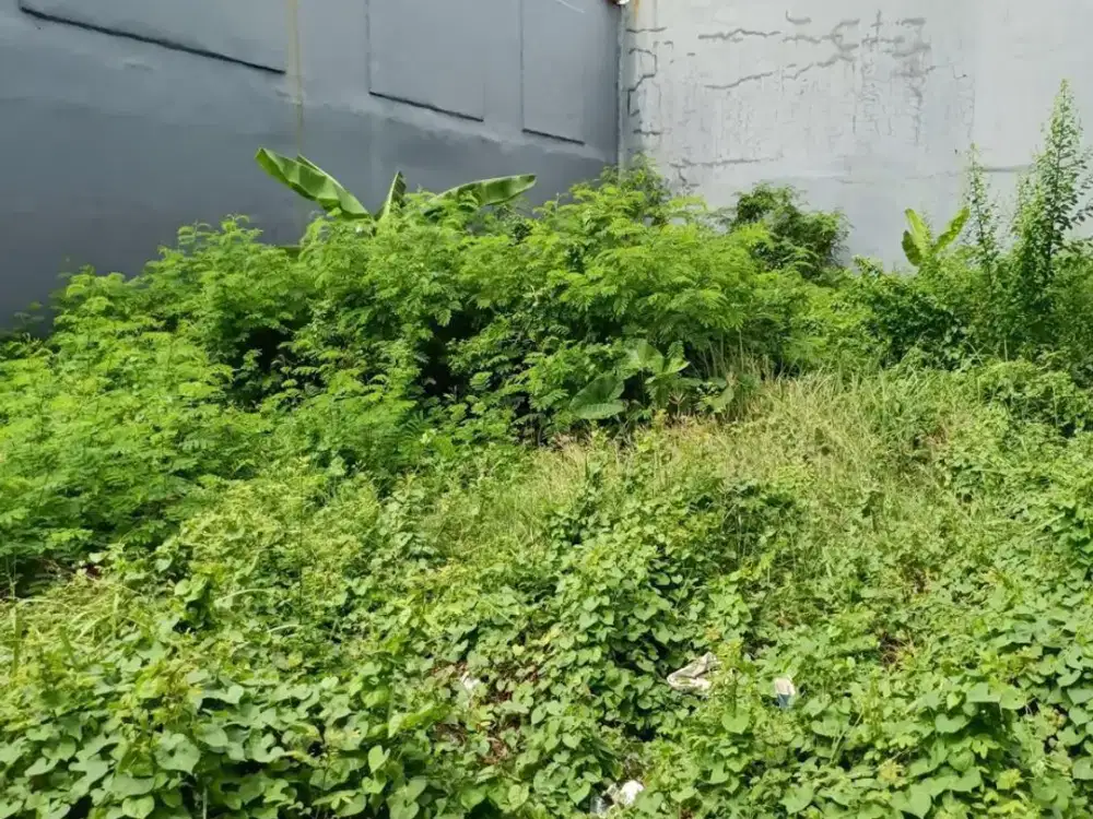 Vco - Dijual Cepat Tanah Green Garden Tipe 12x25
