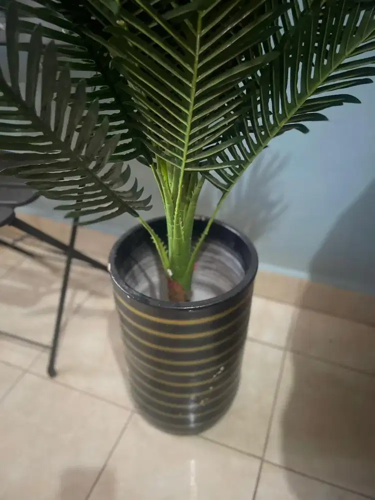 Bungaa daun hijau