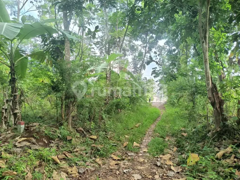Kavling Bagus Dekat Undip Cocok Untuk Kost2an