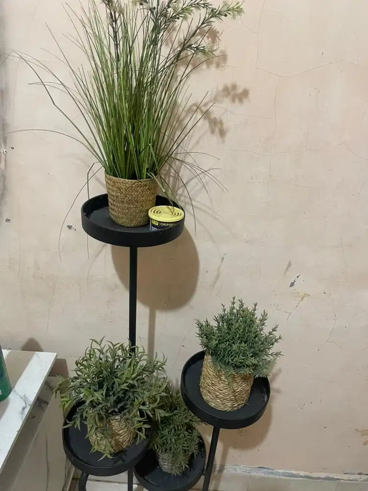 Rak bunga beserta bunganyaa