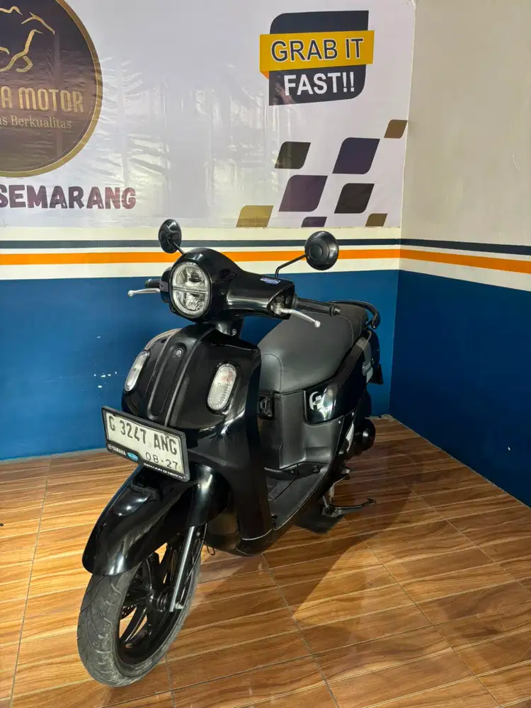 Fazzio neo 2022