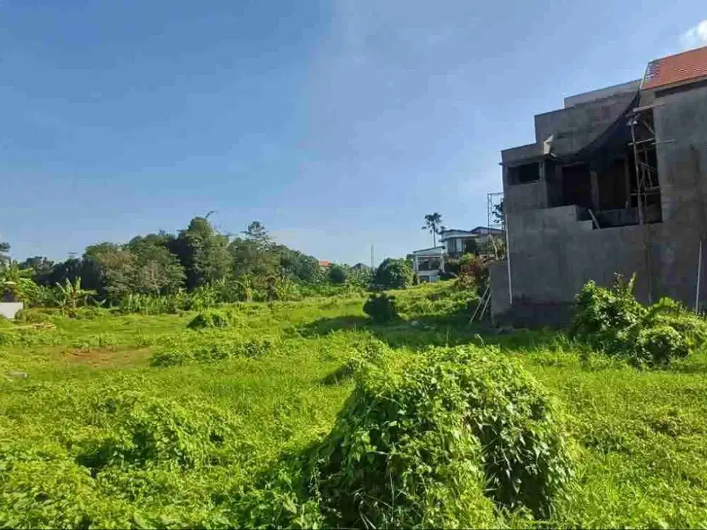 jl kesambi kerobokan strategis tanah 31.9 are di jual / sewa