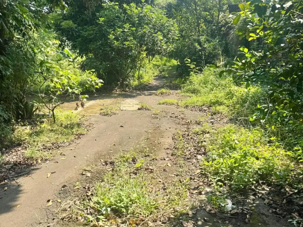 Dijual Tanah di Margasari Dawuan Subang