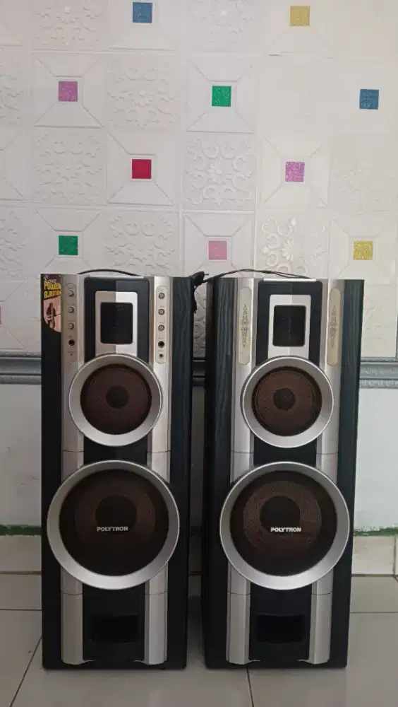 Speaker Polytron