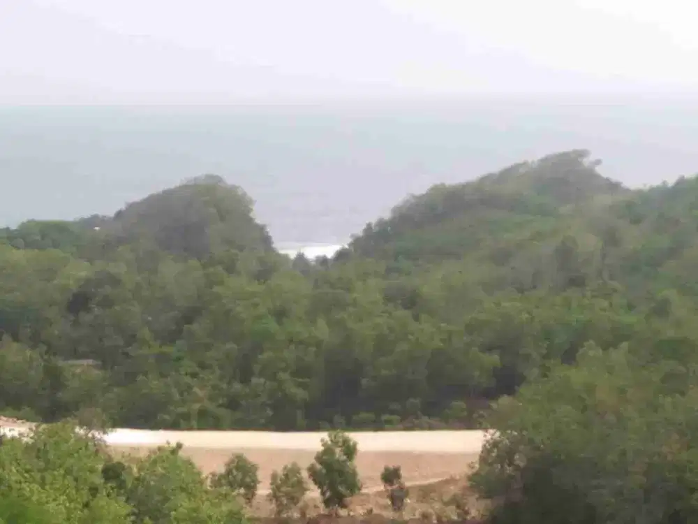Dekat Pantai, Dijual Tanah Siap Bangun di Pantai Indrayanti Gunung Kidul Yogyakarta