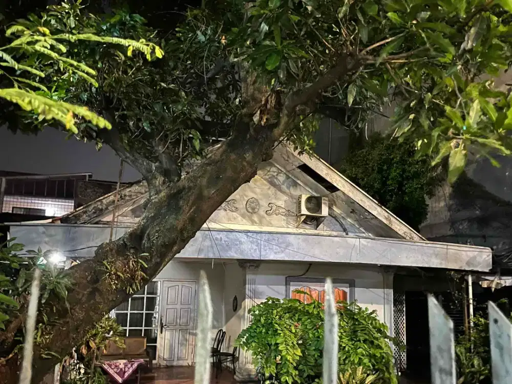 Dijual Tanah Langka