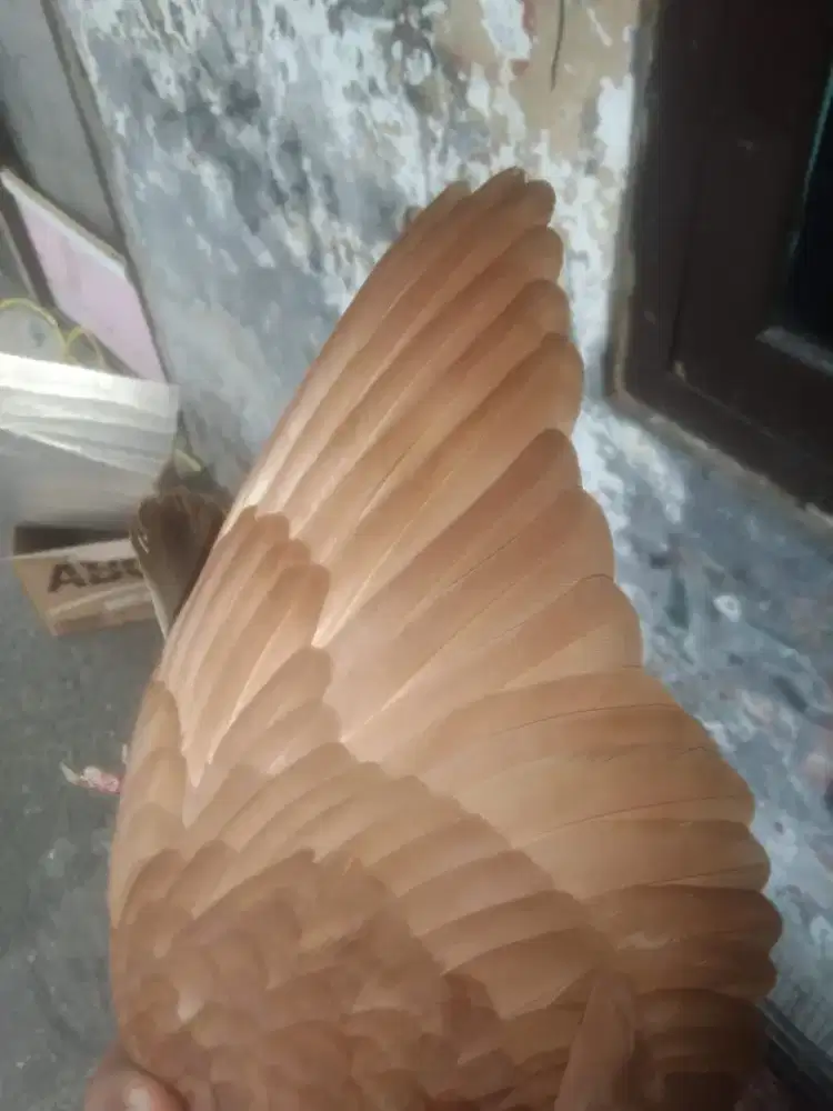 Burung sepasang Coklat Giring Keras Set jalan