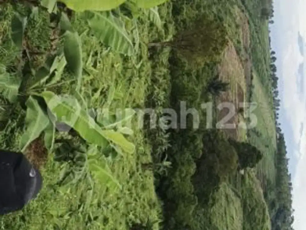 Murah Tanah di Wado Sumedang Cocok Tani Ternak Pesantren Villa