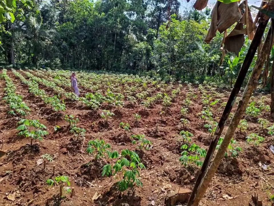 Dijual Tanah Luas 993 M2