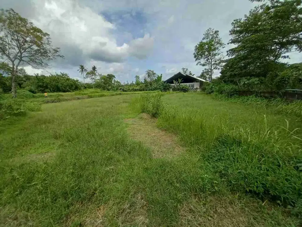 Tanah Dekat Raminten Jakal km 15