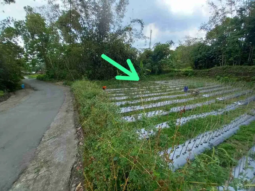 TANAH DIJUAL AREA CANGKRINGAN