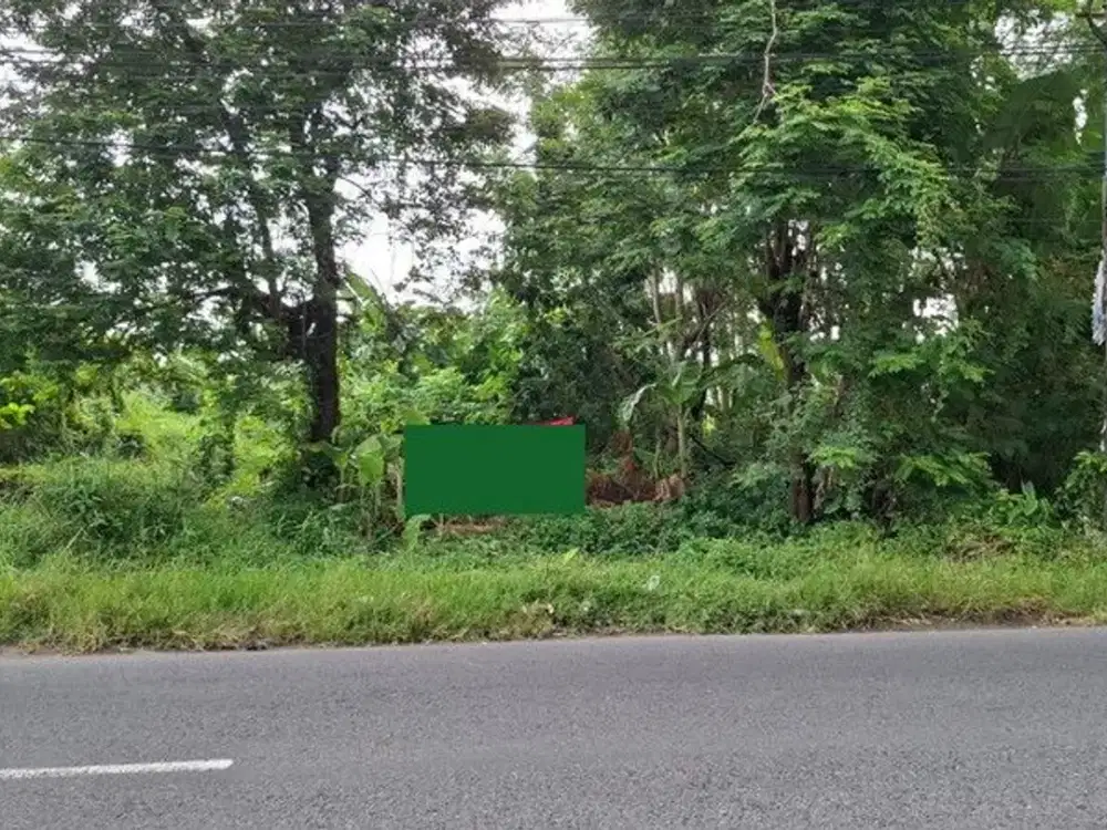 Tanah Pekarangan Lokasi Strategis Dekat Kampus IKIP PGRI - Kasihan Bantul