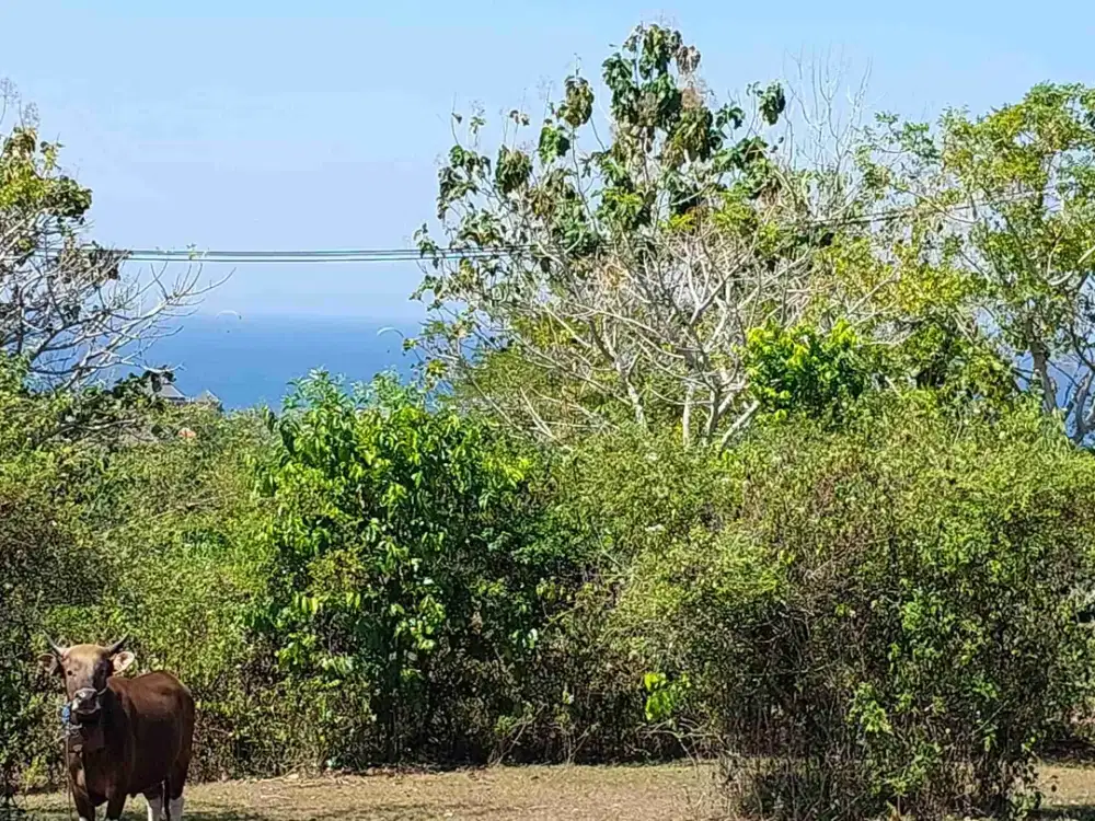 DIJUAL TANAH PREMIUM UNBLOCK VIEW, NUSA DUA