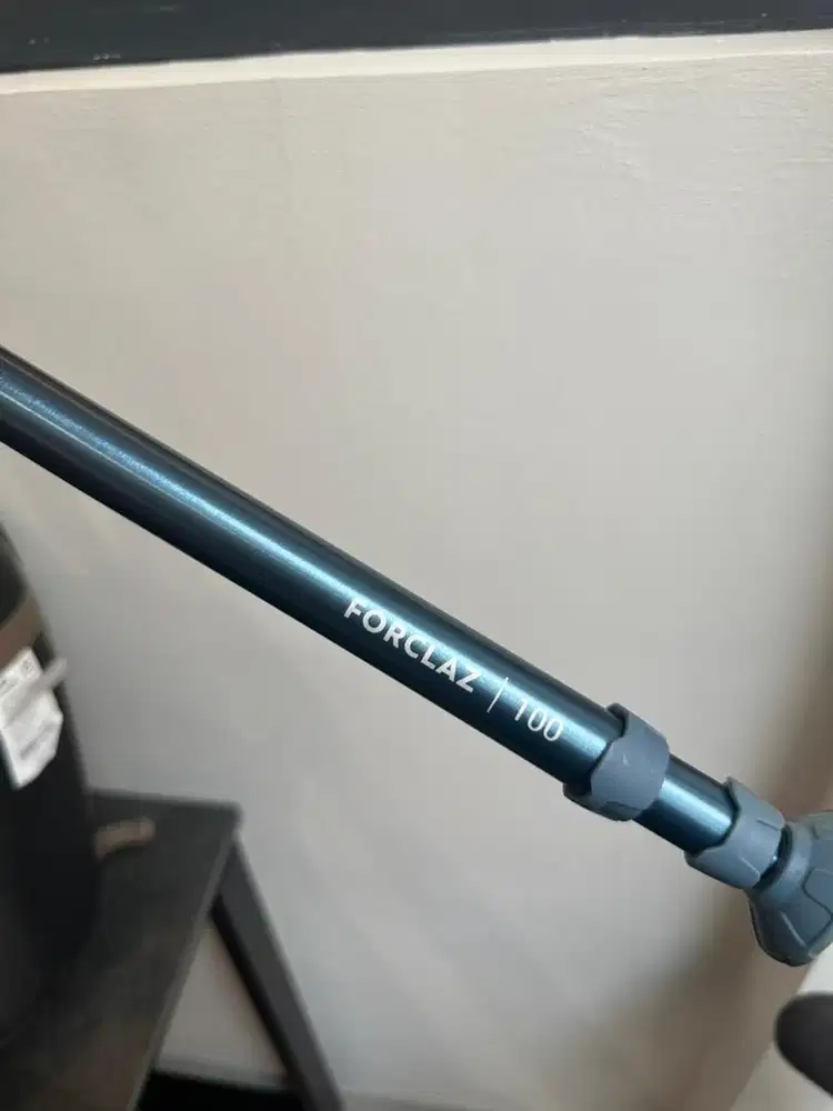Trekking Pole Decathlon