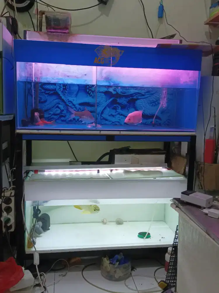 Aquarium aquarium