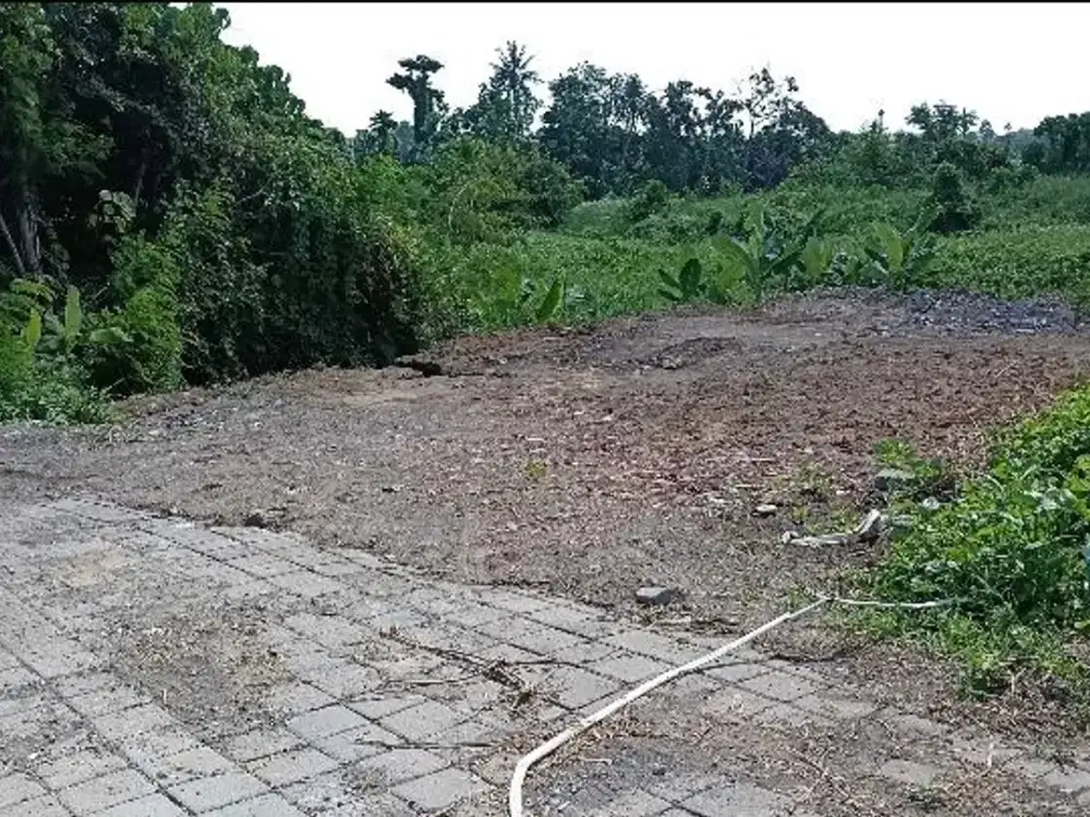 Dijual Tanah daerah Cemagi Badung Bali