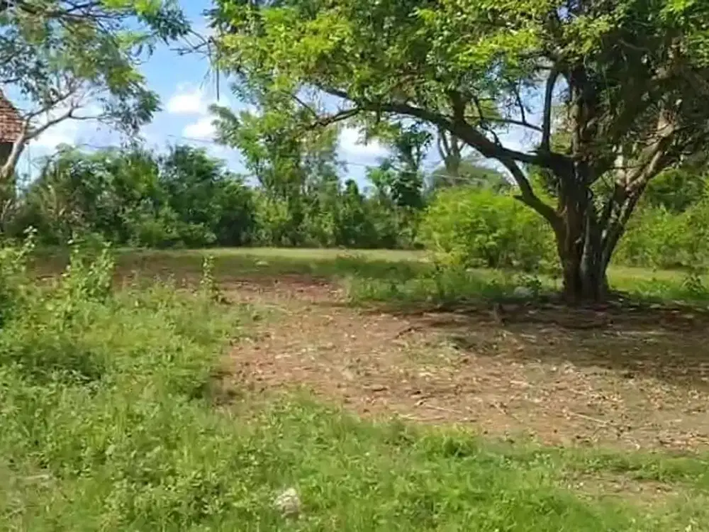 Dijual Tanah Ocean View sawangan Nusa Dua Bali