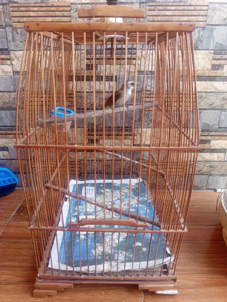 Trucukan bunyi masih semaunya fs