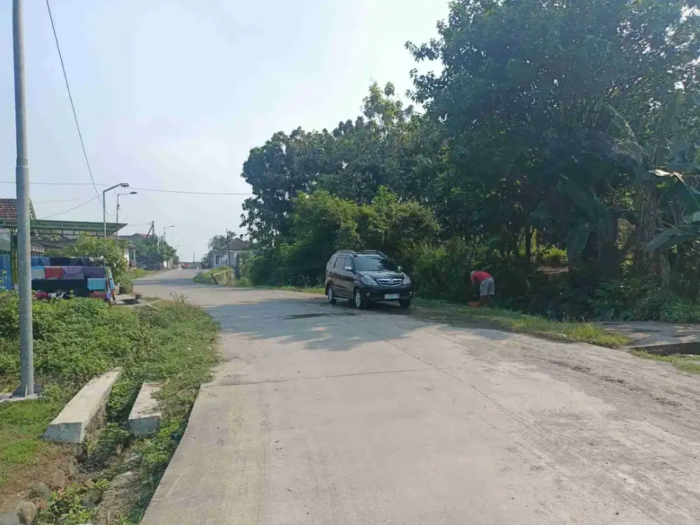 Jual Tanah Rumah Kandang Sapi Kolam Ikan di Tunggulmoro Kutoporong Bangsal Mojokerto