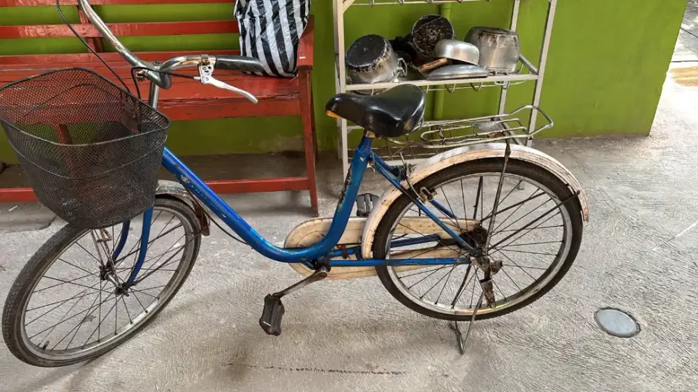Sepeda Bekas Minus Pemakaian