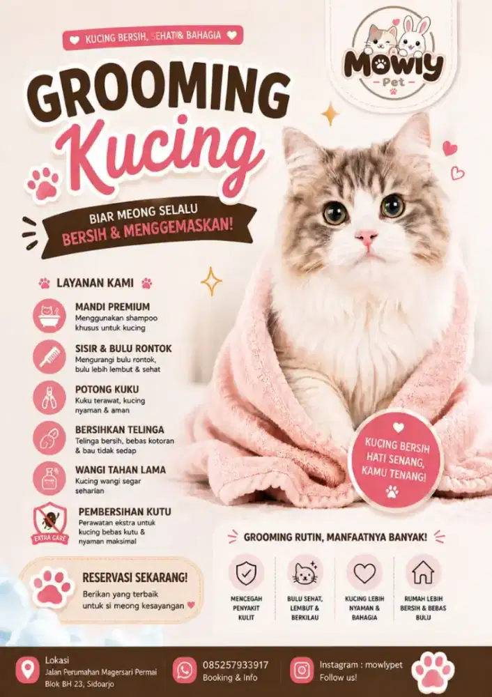 Jasa grooming Premium anabul kucing