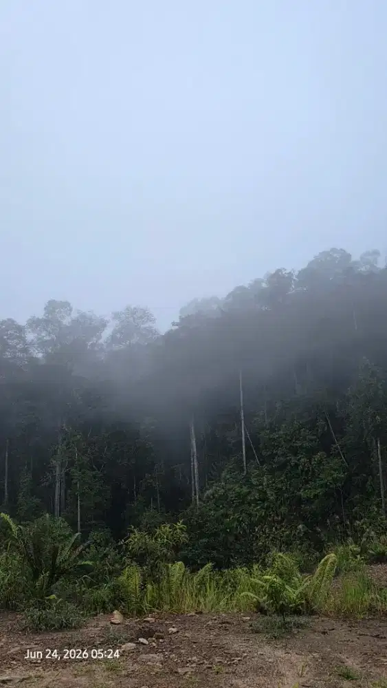 Cari Antar Jemput Anak Sekolah