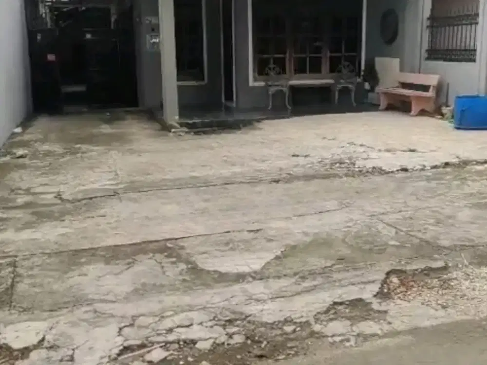 pakis malang