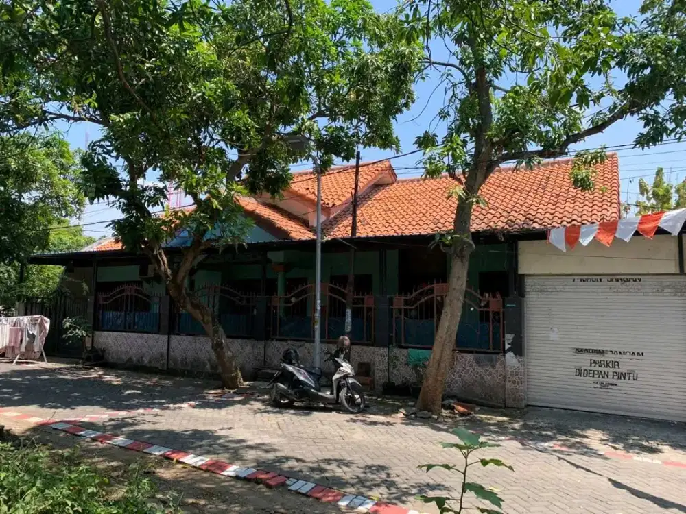 Lontar - Sambikerep