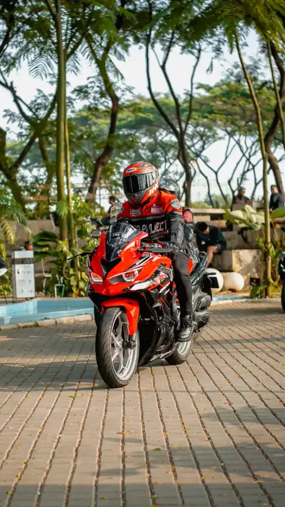 Ninja Mono 250 modif ZX25