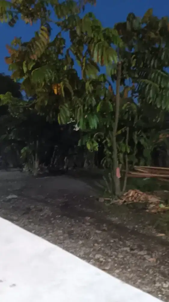 Dijual tanah surat notaris