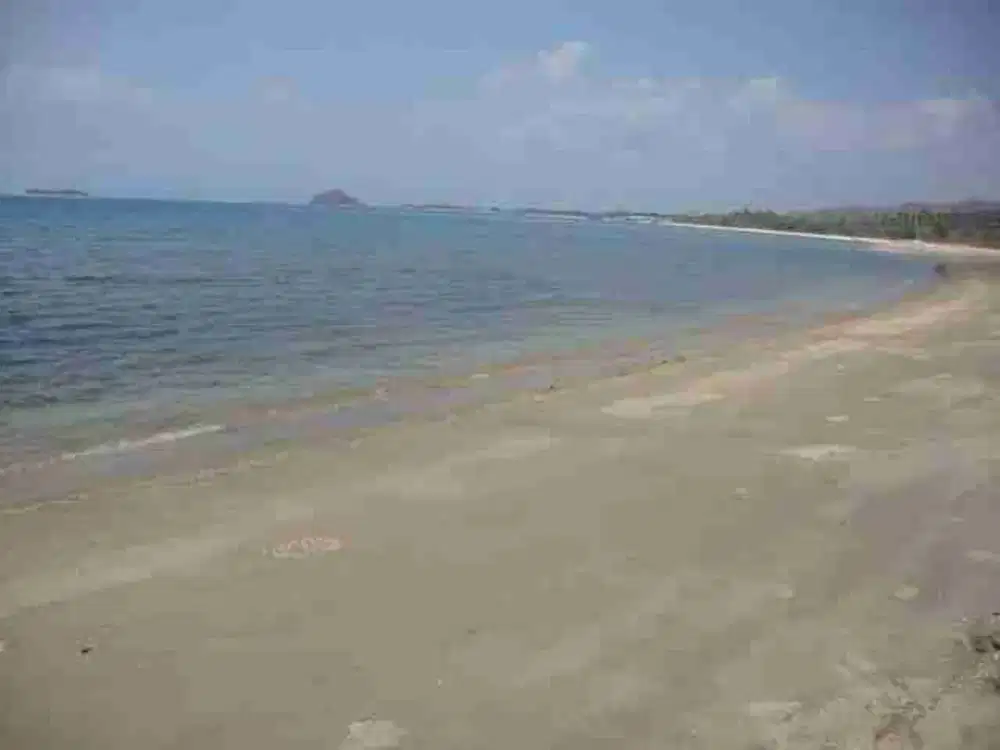 Land For Sale Beach Front Sekotong Lombok Barat/ Dijual Tanah Di Pantai Sekotong Lombok Barat