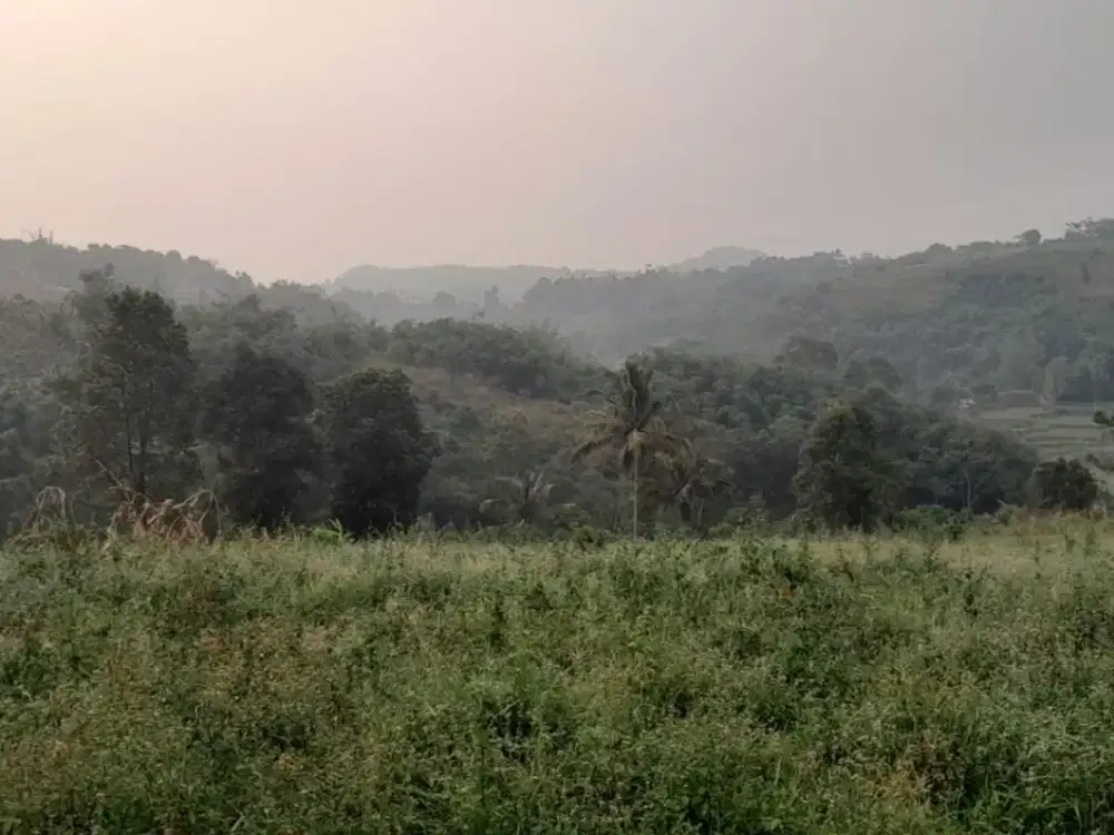 dijual lahan 10ha cocok untuk wisata