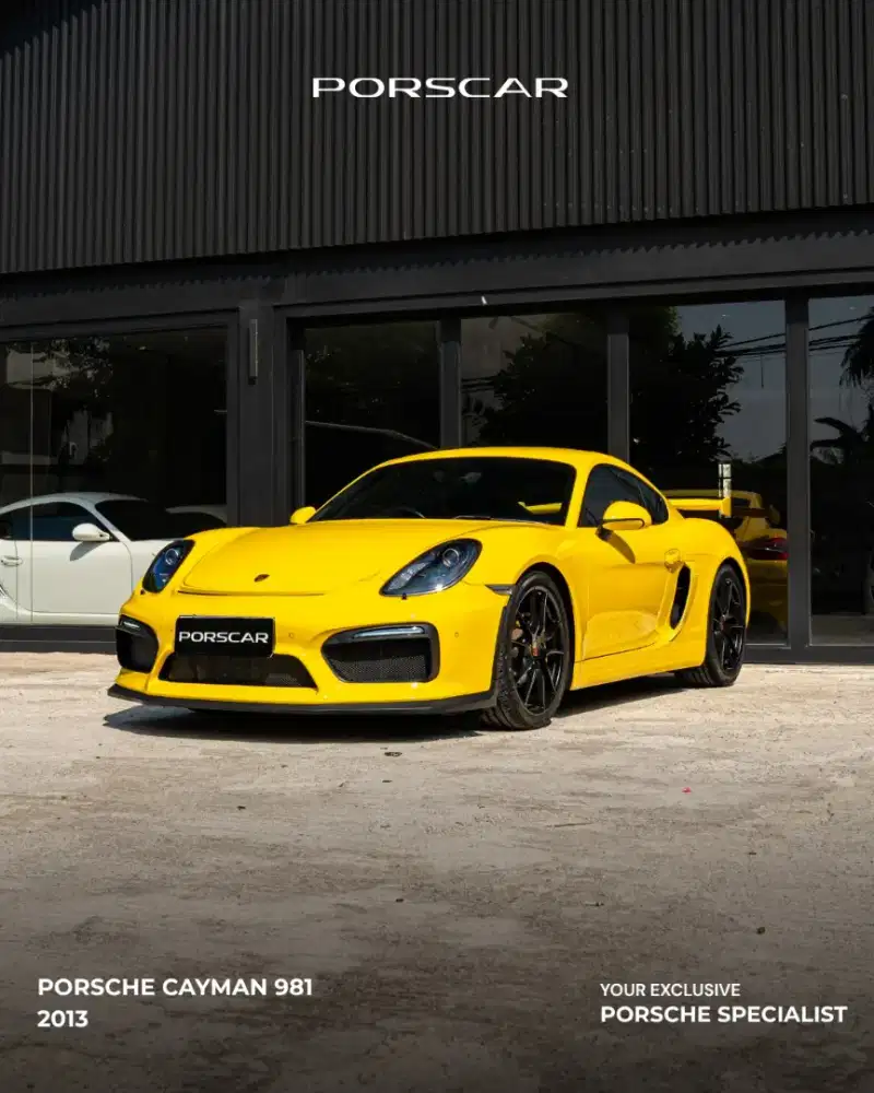 PORSCHE CAYMAN 981 2013 UPGRADE GT4 STYLE
