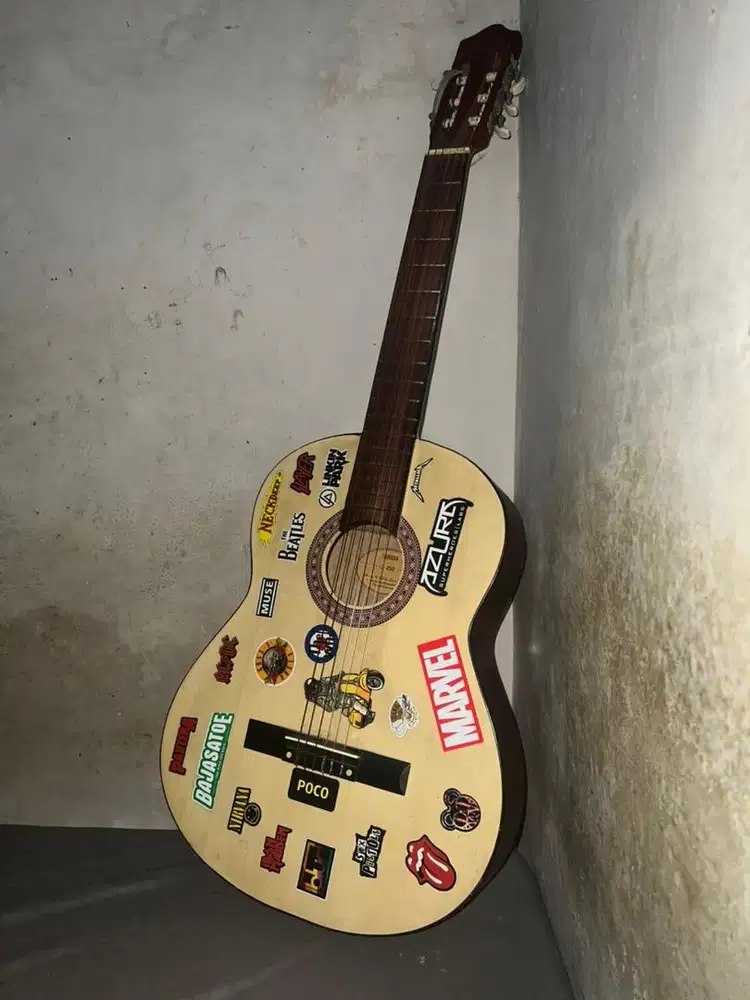 Gitar Clasic C-250