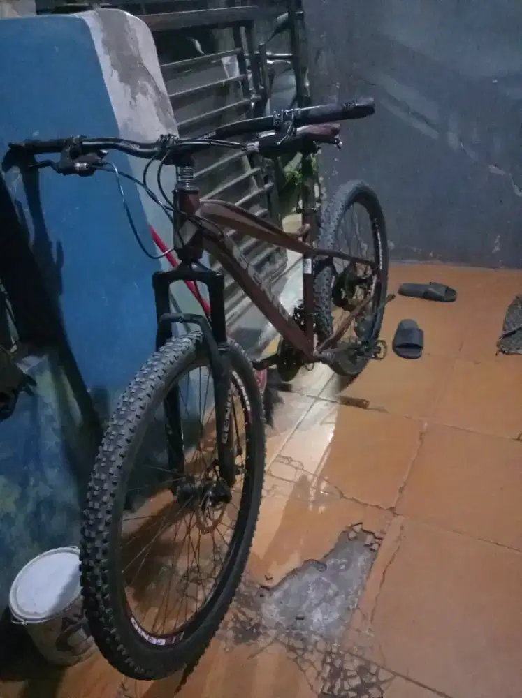 Sepeda Genio M347